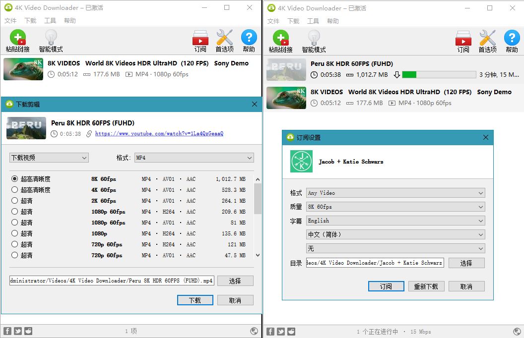 油管高清视频下载利器 4K Video Downloader v4.19.0_壹元库