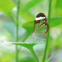 雷霆霸主-壹元库