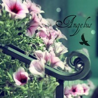 墨染古镇的头像-壹元库