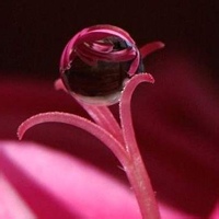 青山隐士-壹元库